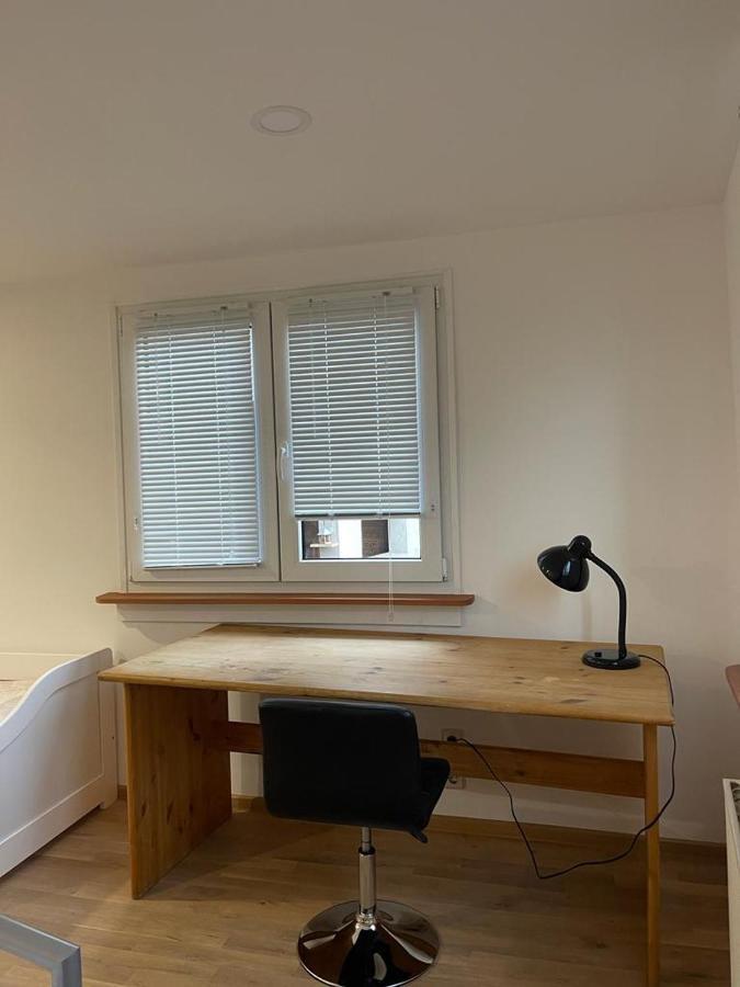 Apartment Viktoria Offenburg Zewnętrze zdjęcie
